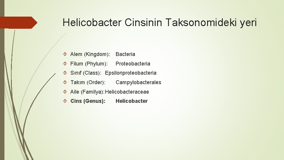 Helicobacter Cinsinin Taksonomideki yeri Alem (Kingdom): Bacteria Filum (Phylum): Proteobacteria Sınıf (Class): Epsilonproteobacteria Takım