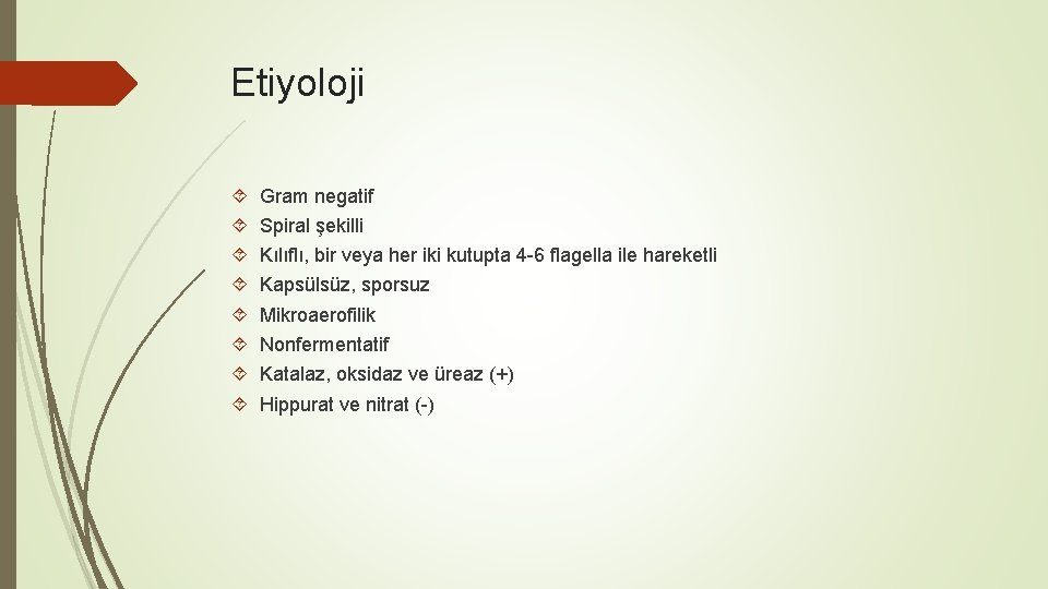 Etiyoloji Gram negatif Spiral şekilli Kılıflı, bir veya her iki kutupta 4 -6 flagella