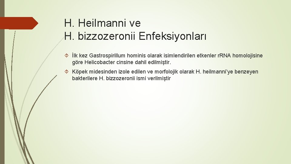 H. Heilmanni ve H. bizzozeronii Enfeksiyonları İlk kez Gastrospirillum hominis olarak isimlendirilen etkenler r.