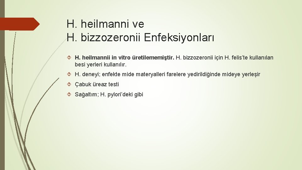 H. heilmanni ve H. bizzozeronii Enfeksiyonları H. heilmannii in vitro üretilememiştir. H. bizzozeronii için