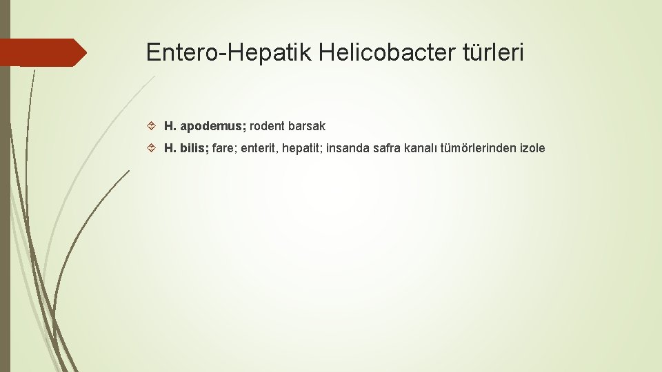 Entero-Hepatik Helicobacter türleri H. apodemus; rodent barsak H. bilis; fare; enterit, hepatit; insanda safra