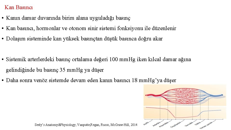 Kan Basıncı • Kanın damar duvarında birim alana uyguladığı basınç • Kan basıncı, hormonlar