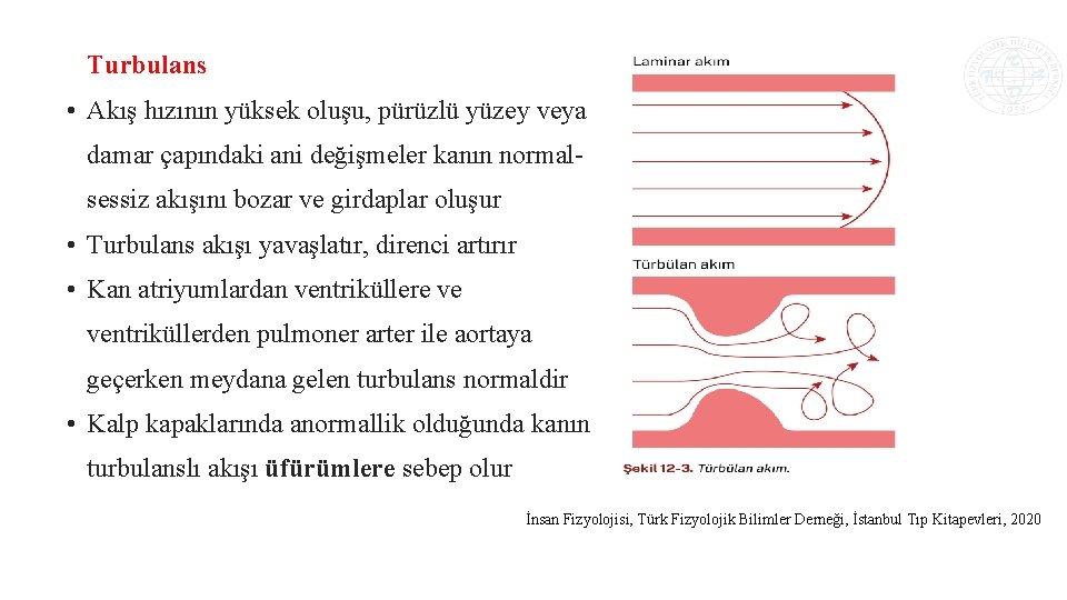 Turbulans • Akış hızının yüksek oluşu, pürüzlü yüzey veya damar çapındaki ani değişmeler kanın