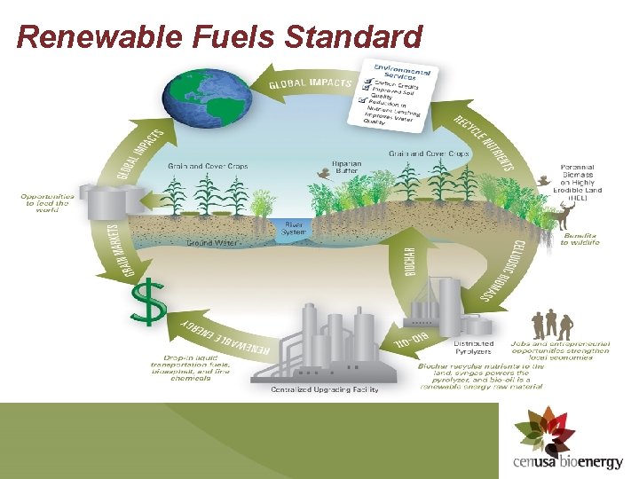 Renewable Fuels Standard 