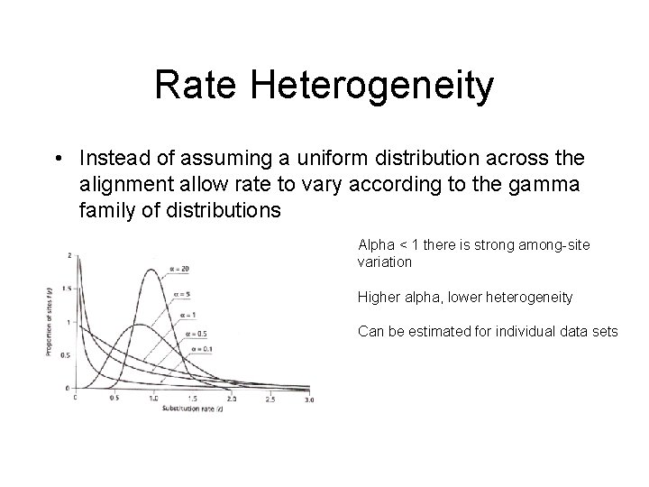 Rate Heterogeneity • Instead of assuming a uniform distribution across the alignment allow rate