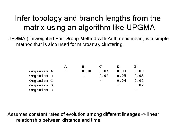 Infer topology and branch lengths from the matrix using an algorithm like UPGMA (Unweighted