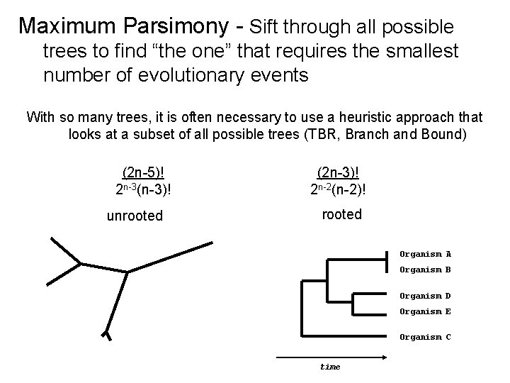 Maximum Parsimony - Sift through all possible trees to find “the one” that requires