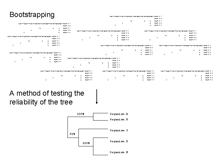 Bootstrapping Ggaccttcgggcctcacgccatcggatgaacccagatgggattagctagtaggtgaggta Organism A. . . . Organism B. . . . tg. .