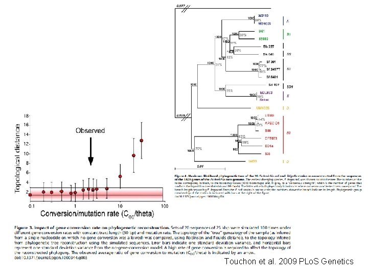Touchon et al. 2009 PLo. S Genetics 