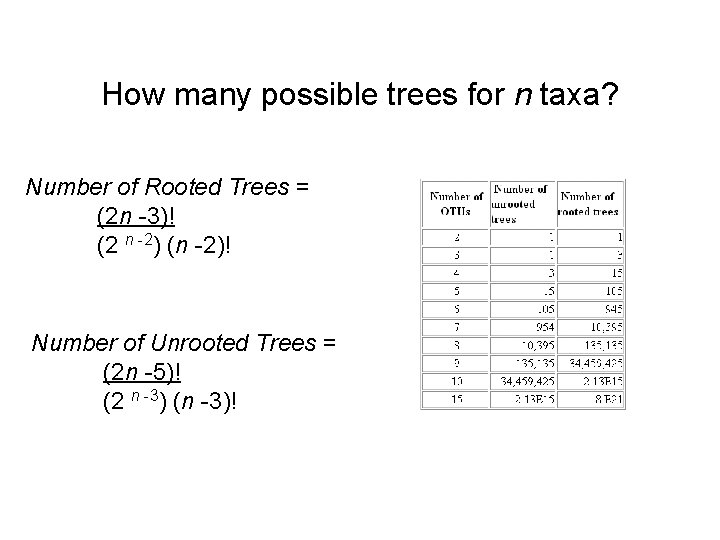 How many possible trees for n taxa? Number of Rooted Trees = (2 n