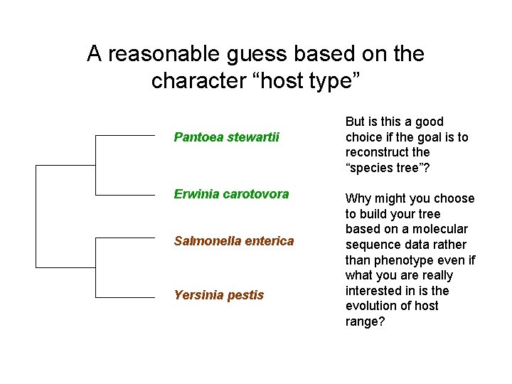 A reasonable guess based on the character “host type” Pantoea stewartii Erwinia carotovora Salmonella