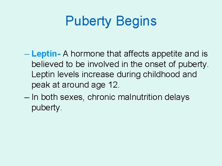 Puberty Begins – Leptin- A hormone that affects appetite and is believed to be