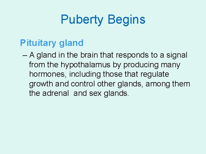 Puberty Begins Pituitary gland – A gland in the brain that responds to a