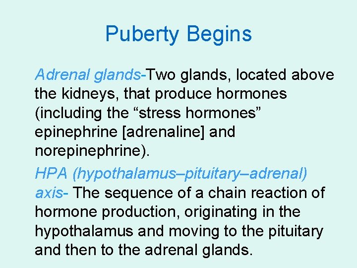 Puberty Begins Adrenal glands-Two glands, located above the kidneys, that produce hormones (including the