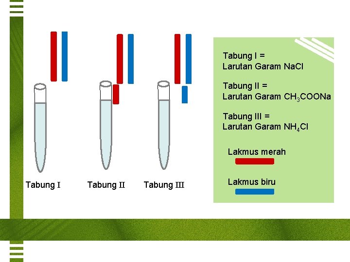 Tabung I = Larutan Garam Na. Cl Tabung II = Larutan Garam CH 3