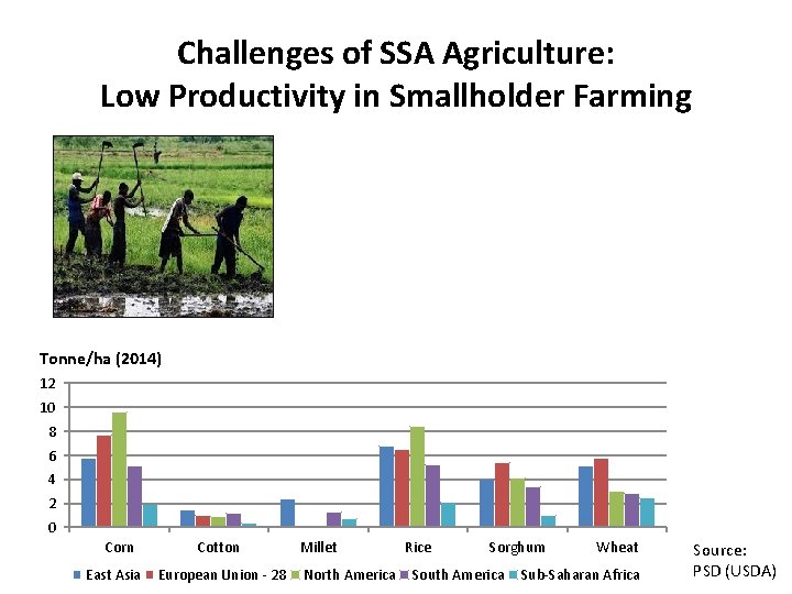 Challenges of SSA Agriculture: Low Productivity in Smallholder Farming Tonne/ha (2014) 12 10 8