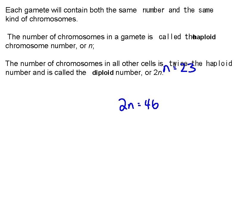 Each gamete will contain both the same number and the same kind of chromosomes.