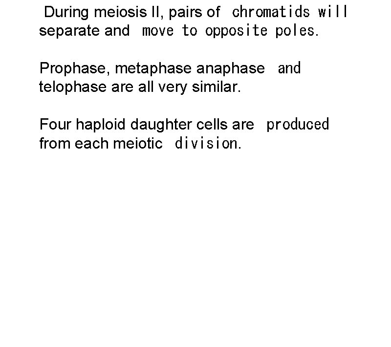 During meiosis II, pairs of chromatids will separate and move to opposite poles. Prophase,
