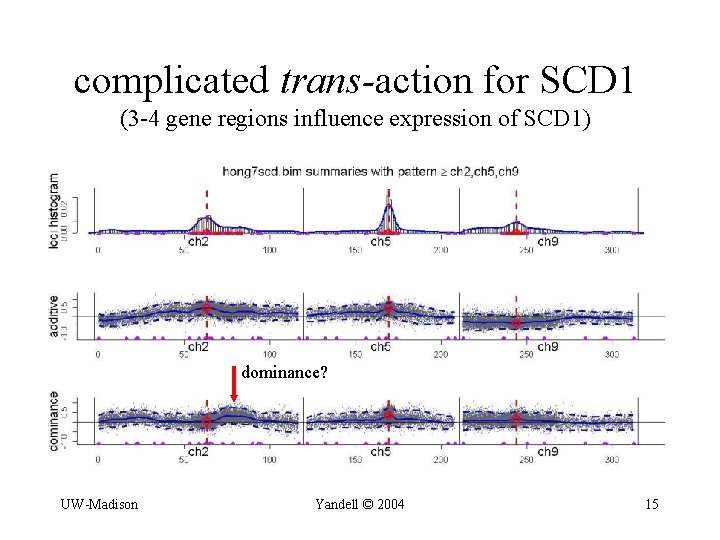 complicated trans-action for SCD 1 (3 -4 gene regions influence expression of SCD 1)