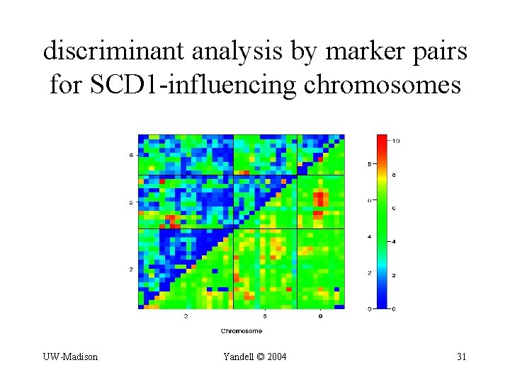 discriminant analysis by marker pairs for SCD 1 -influencing chromosomes UW-Madison Yandell © 2004