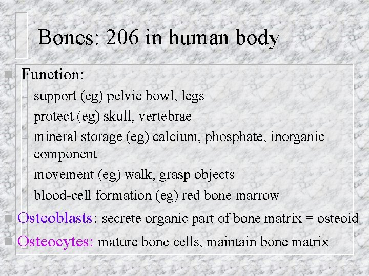 Bones: 206 in human body n Function: – – – support (eg) pelvic bowl,