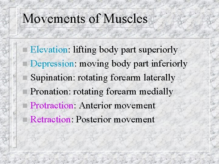 Movements of Muscles Elevation: lifting body part superiorly n Depression: moving body part inferiorly