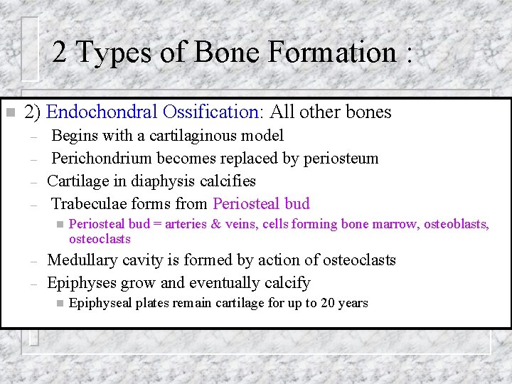 2 Types of Bone Formation : n 2) Endochondral Ossification: All other bones –