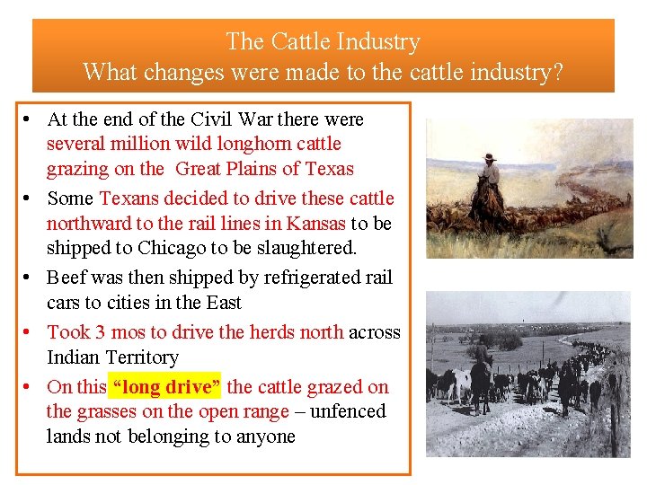 The Cattle Industry What changes were made to the cattle industry? • At the