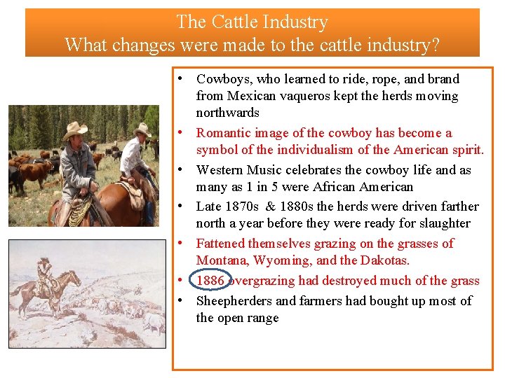 The Cattle Industry What changes were made to the cattle industry? • Cowboys, who