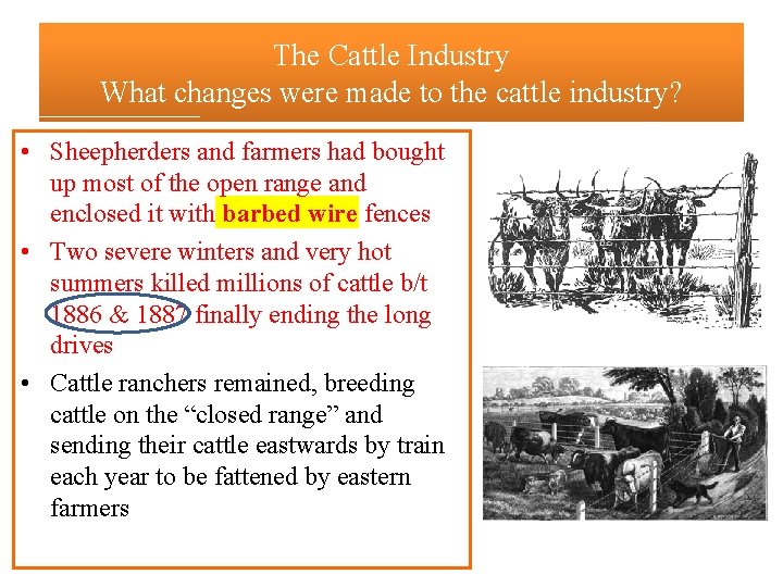 The Cattle Industry What changes were made to the cattle industry? • Sheepherders and