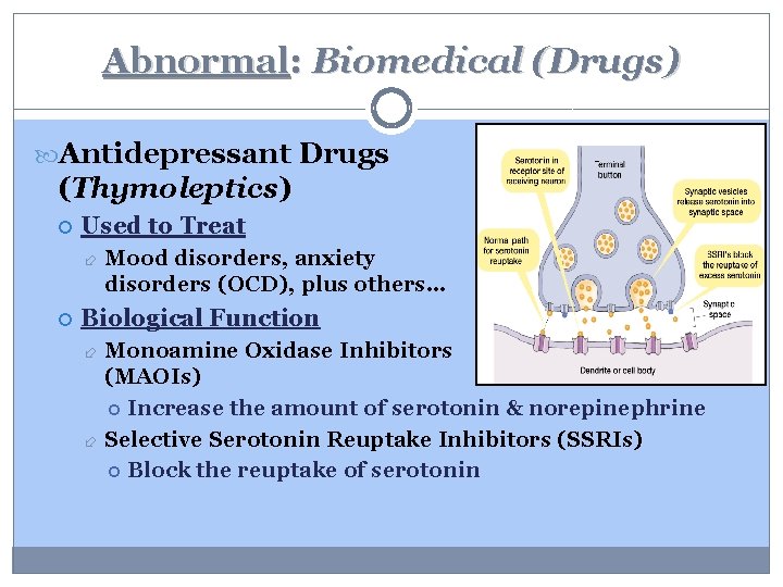 Abnormal: Biomedical (Drugs) Antidepressant Drugs (Thymoleptics) Used to Treat Mood disorders, anxiety disorders (OCD),