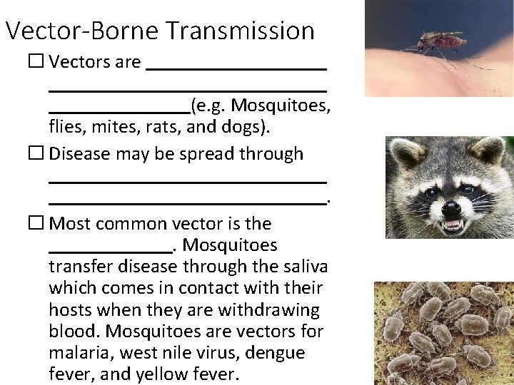 Vector-Borne Transmission � Vectors are (e. g. Mosquitoes, flies, mites, rats, and dogs). �