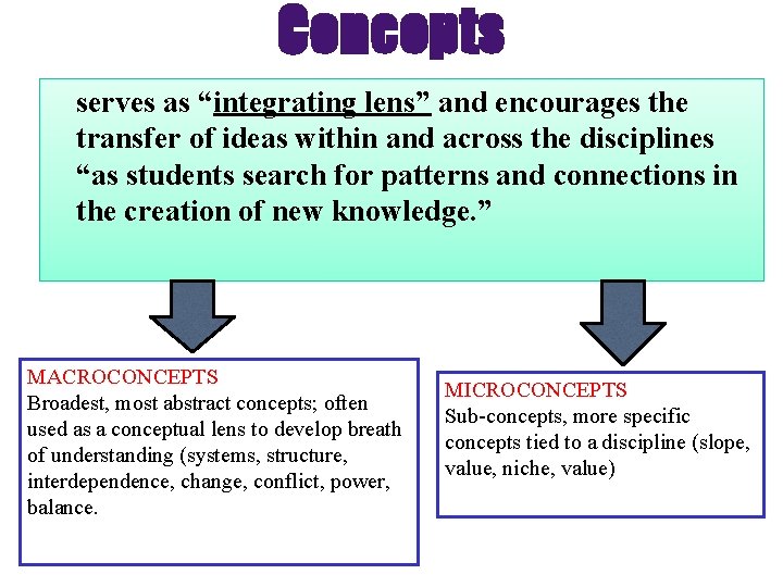 Concepts serves as “integrating lens” and encourages the transfer of ideas within and across