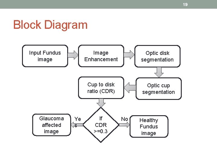 19 Block Diagram Input Fundus image Glaucoma affected image Ye s Image Enhancement Optic