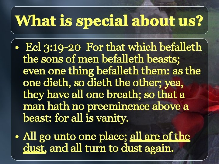 What is special about us? • Ecl 3: 19 -20 For that which befalleth