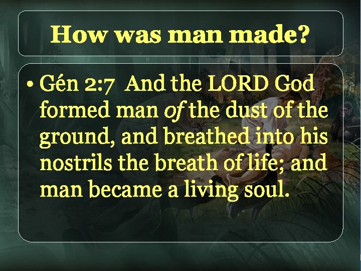 How was man made? • Gén 2: 7 And the LORD God formed man