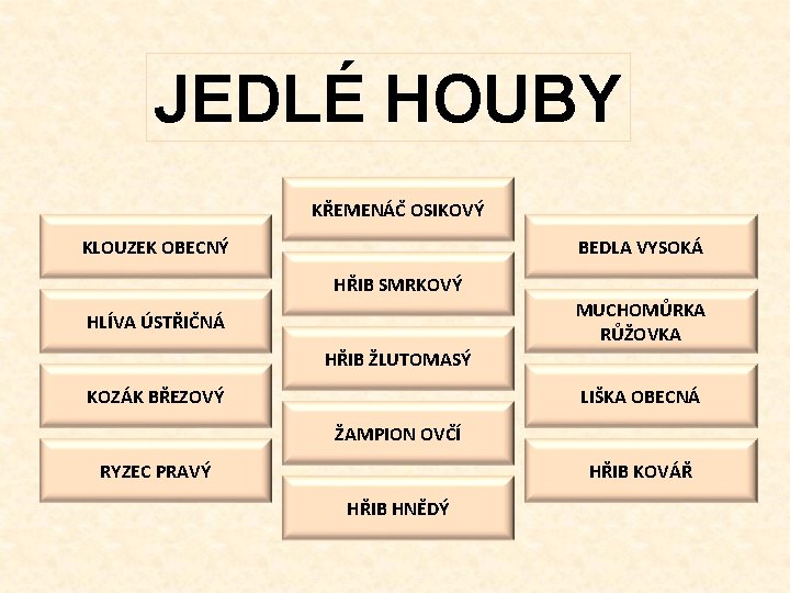 JEDLÉ HOUBY KŘEMENÁČ OSIKOVÝ KLOUZEK OBECNÝ BEDLA VYSOKÁ HŘIB SMRKOVÝ MUCHOMŮRKA RŮŽOVKA HLÍVA ÚSTŘIČNÁ