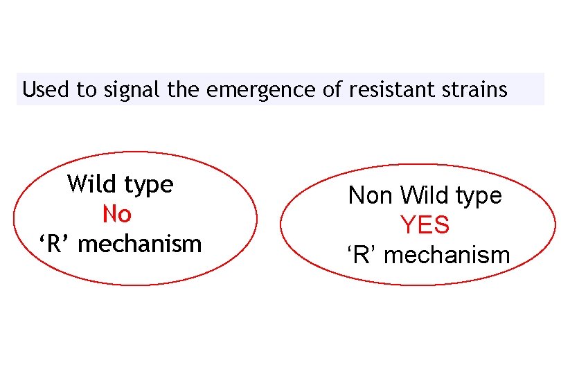 Used to signal the emergence of resistant strains Wild type No ‘R’ mechanism Non