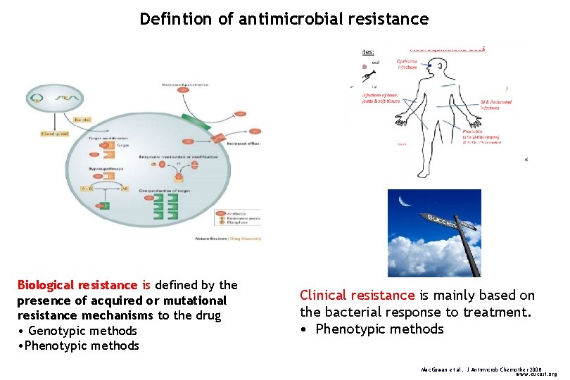Defintion of antimicrobial resistance << Biological resistance is defined by the presence of acquired