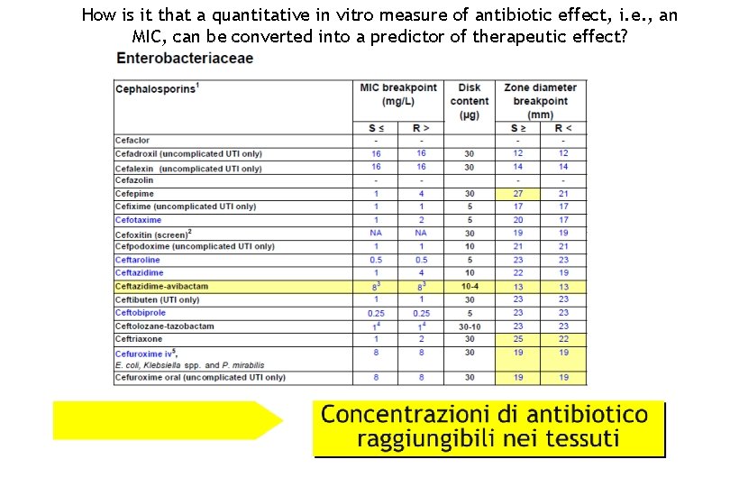 How is it that a quantitative in vitro measure of antibiotic effect, i. e.