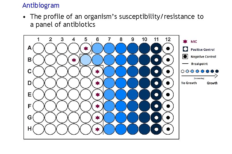 Antibiogram • The profile of an organism’s susceptibility/resistance to a panel of antibiotics 