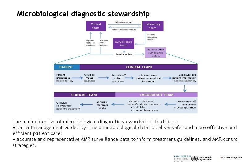 Microbiological diagnostic stewardship The main objective of microbiological diagnostic stewardship is to deliver: •