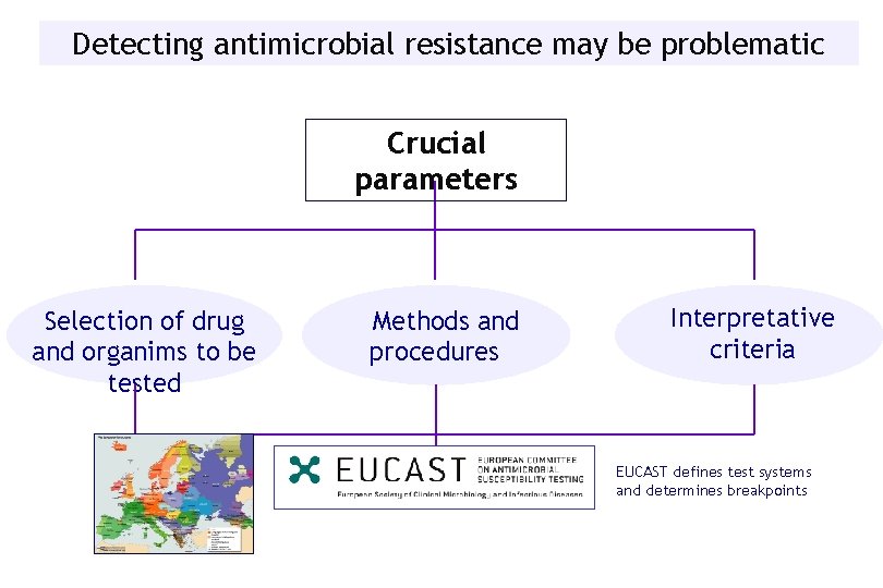 Detecting antimicrobial resistance may be problematic Crucial parameters Selection of drug and organims to