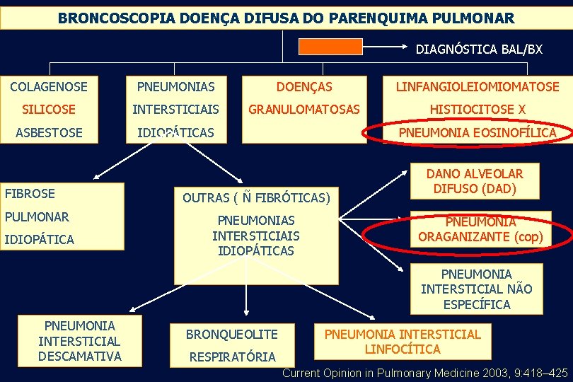 BRONCOSCOPIA DOENÇA DIFUSA DO PARENQUIMA PULMONAR DIAGNÓSTICA BAL/BX COLAGENOSE PNEUMONIAS DOENÇAS LINFANGIOLEIOMIOMATOSE SILICOSE INTERSTICIAIS