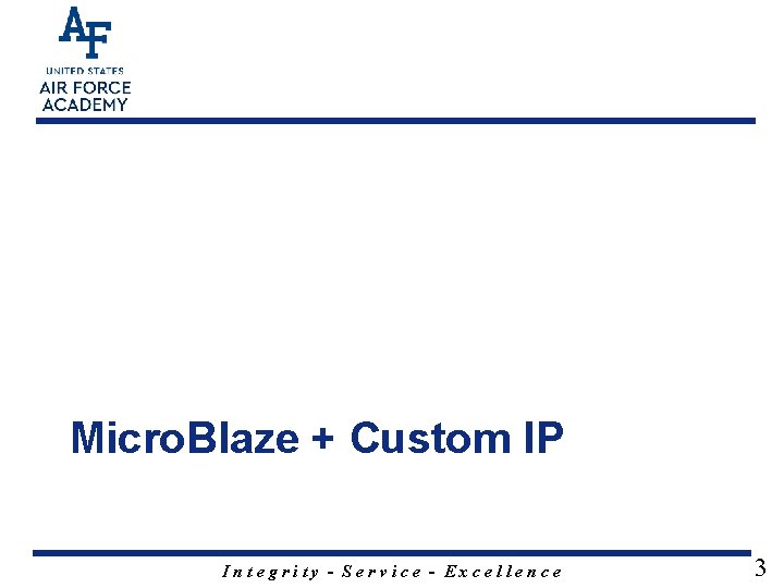 Micro. Blaze + Custom IP Integrity - Service - Excellence 3 