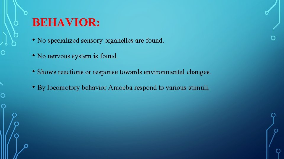 BEHAVIOR: • No specialized sensory organelles are found. • No nervous system is found.