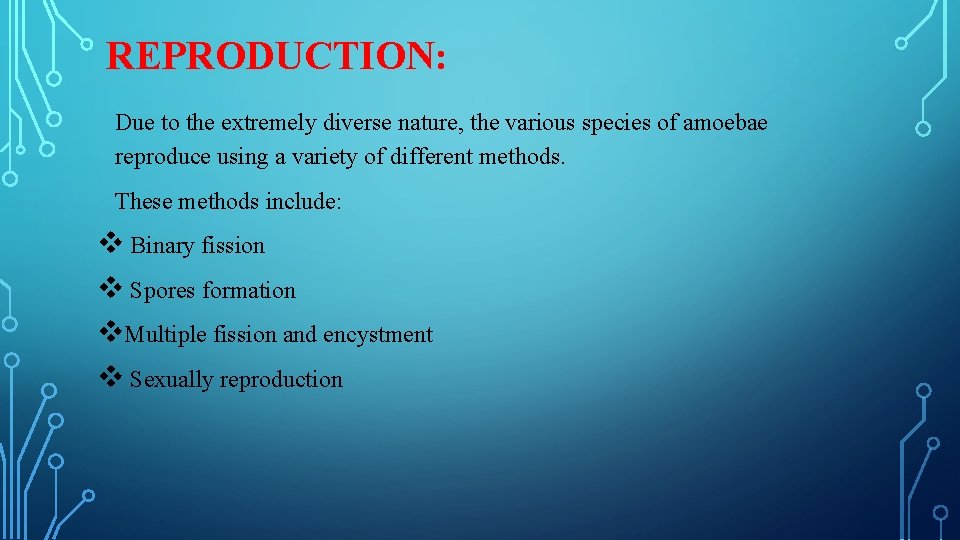 REPRODUCTION: Due to the extremely diverse nature, the various species of amoebae reproduce using