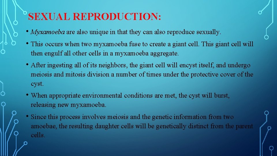 SEXUAL REPRODUCTION: • Myxamoeba are also unique in that they can also reproduce sexually.