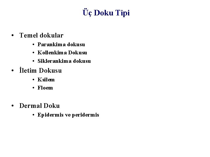 Üç Doku Tipi • Temel dokular • Parankima dokusu • Kollenkima Dokusu • Siklerankima