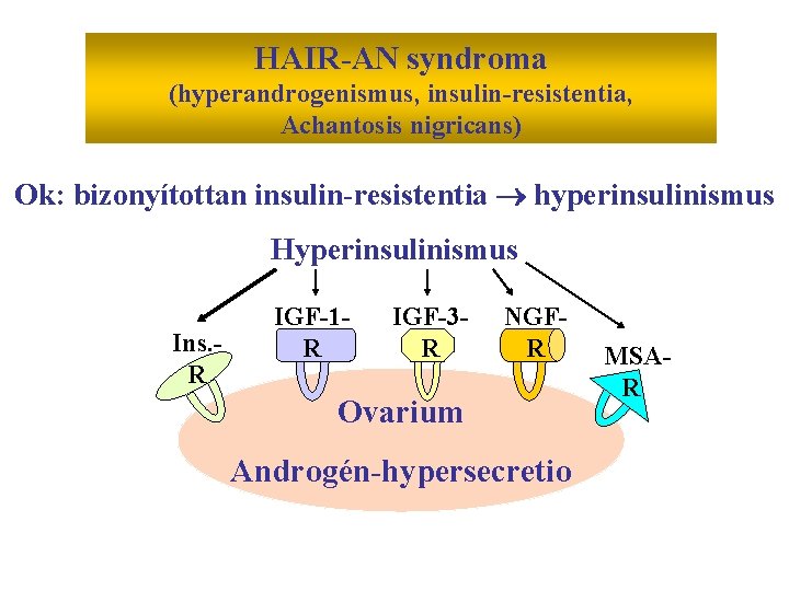 HAIR-AN syndroma (hyperandrogenismus, insulin-resistentia, Achantosis nigricans) Ok: bizonyítottan insulin-resistentia hyperinsulinismus Hyperinsulinismus Ins. R IGF-1